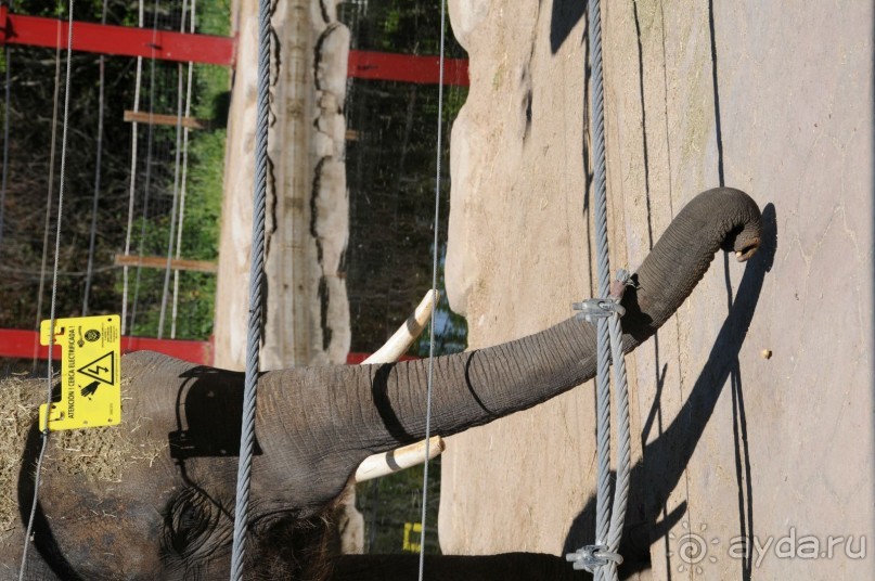 Мадрид в деталях для детей 5-6 лет и не только.