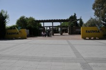 Мадрид в деталях для детей 5-6 лет и не только.