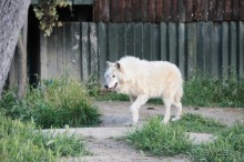 Мадрид в деталях для детей 5-6 лет и не только.