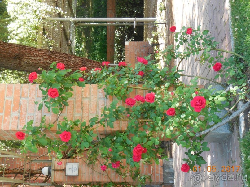 Мадрид в деталях для детей 5-6 лет и не только.