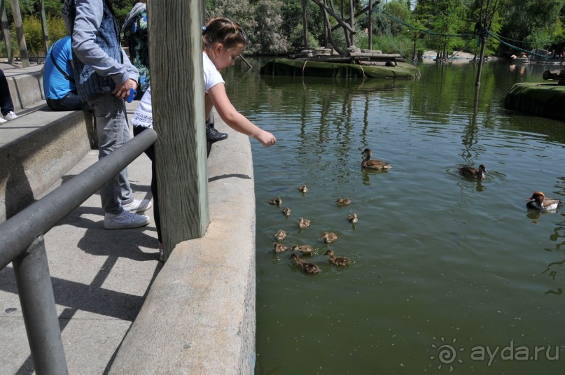 Мадрид в деталях для детей 5-6 лет и не только.