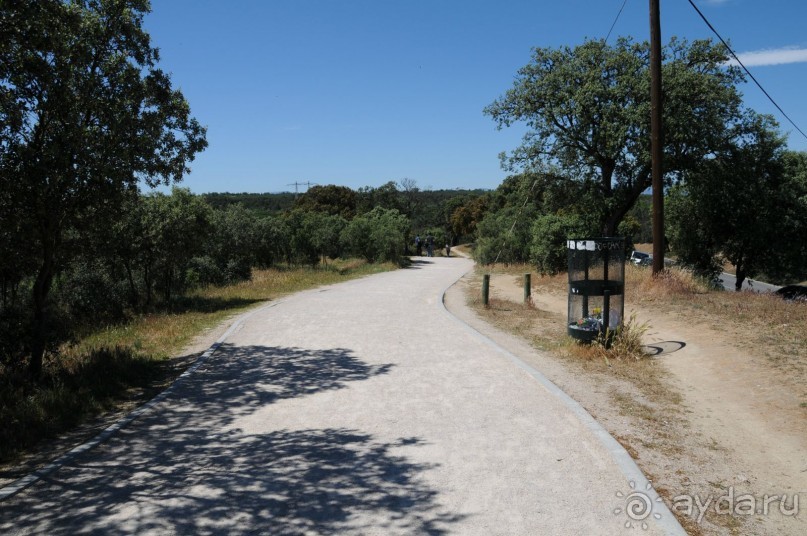 Мадрид в деталях для детей 5-6 лет и не только.
