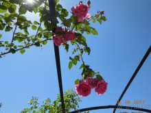 Мадрид в деталях для детей 5-6 лет и не только.