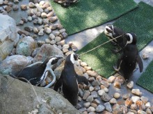 Мадрид в деталях для детей 5-6 лет и не только.