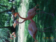 Мадрид в деталях для детей 5-6 лет и не только.