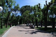 Мадрид в деталях для детей 5-6 лет и не только.