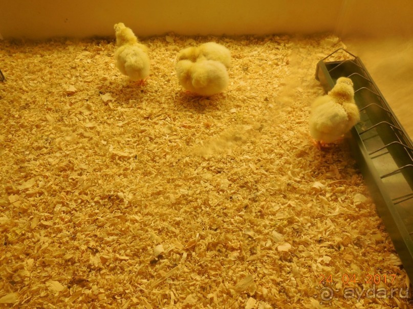 Мадрид в деталях для детей 5-6 лет и не только.