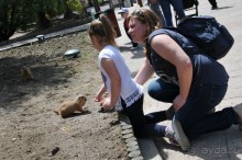 Мадрид в деталях для детей 5-6 лет и не только.