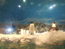 Мадрид в деталях для детей 5-6 лет и не только.