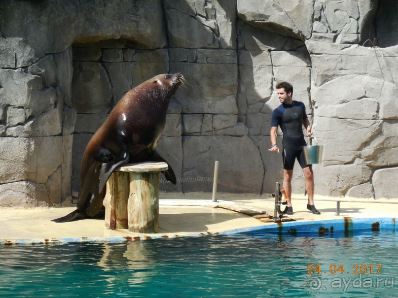 Мадрид в деталях для детей 5-6 лет и не только.