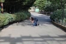 Мадрид в деталях для детей 5-6 лет и не только.