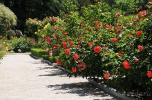 Мадрид в деталях для детей 5-6 лет и не только.