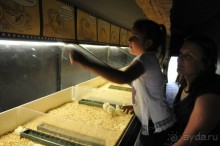 Мадрид в деталях для детей 5-6 лет и не только.