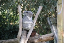 Мадрид в деталях для детей 5-6 лет и не только.