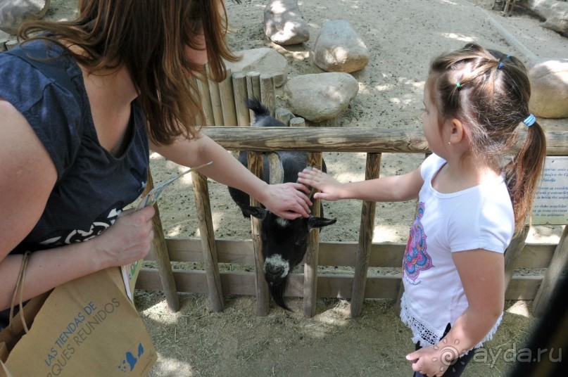 Мадрид в деталях для детей 5-6 лет и не только.