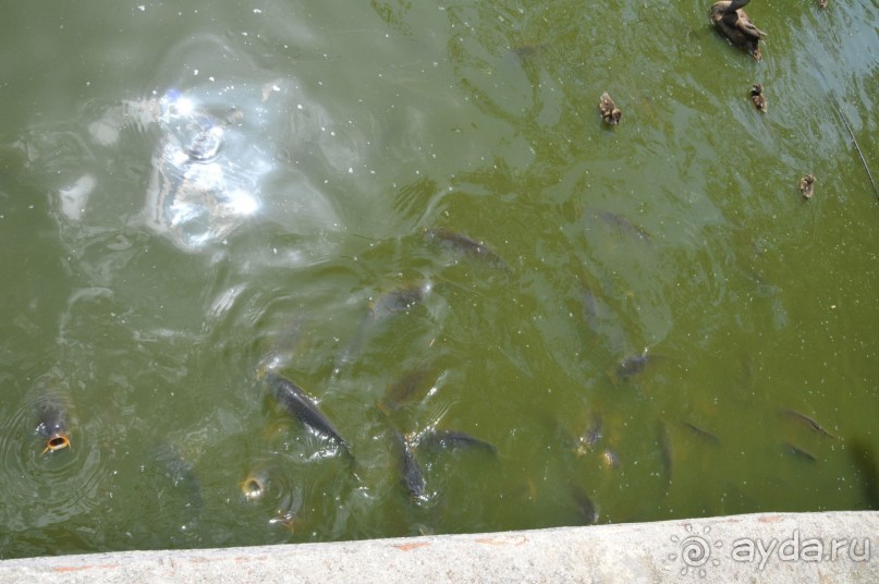 Мадрид в деталях для детей 5-6 лет и не только. Мадрид в деталях для детей 5-6 лет и не только.