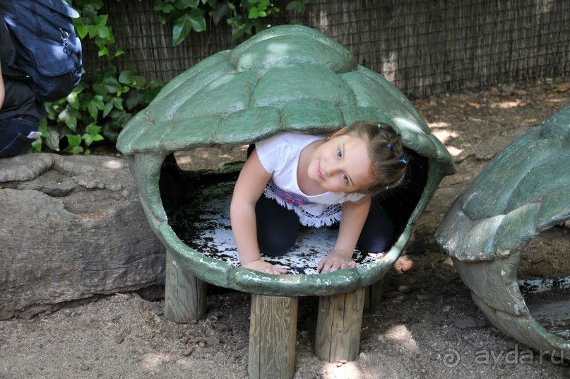 Мадрид в деталях для детей 5-6 лет и не только.