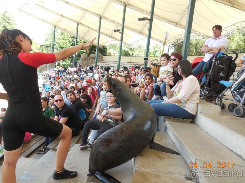 Мадрид в деталях для детей 5-6 лет и не только. Мадрид в деталях для детей 5-6 лет и не только.