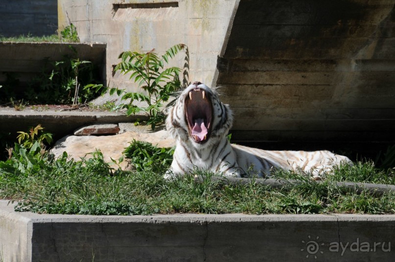 Мадрид в деталях для детей 5-6 лет и не только. Мадрид в деталях для детей 5-6 лет и не только.