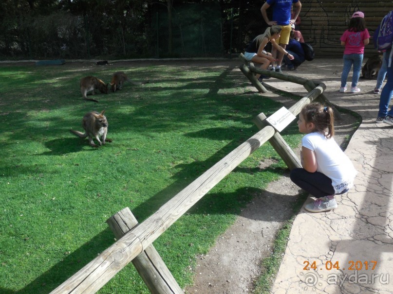 Мадрид в деталях для детей 5-6 лет и не только. Мадрид в деталях для детей 5-6 лет и не только.