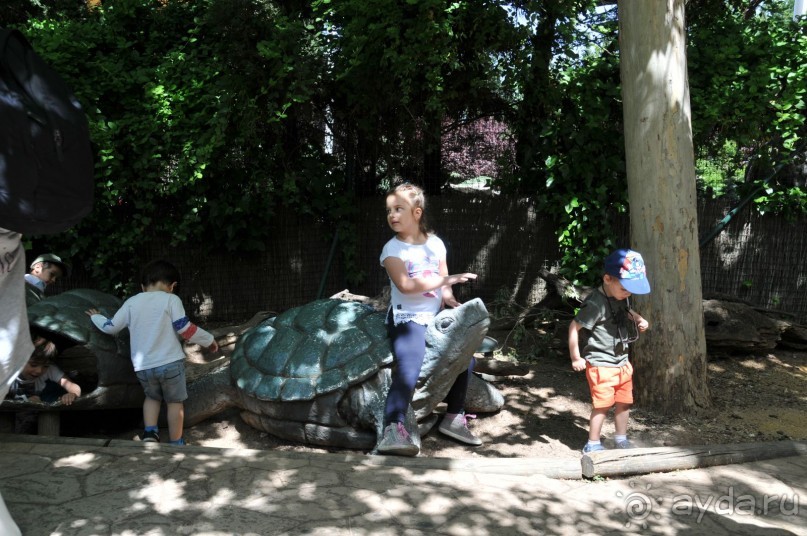 Мадрид в деталях для детей 5-6 лет и не только.