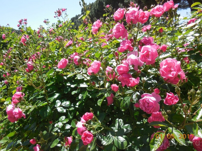 Мадрид в деталях для детей 5-6 лет и не только. Мадрид в деталях для детей 5-6 лет и не только.