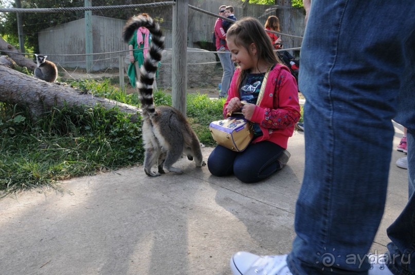 Мадрид в деталях для детей 5-6 лет и не только.