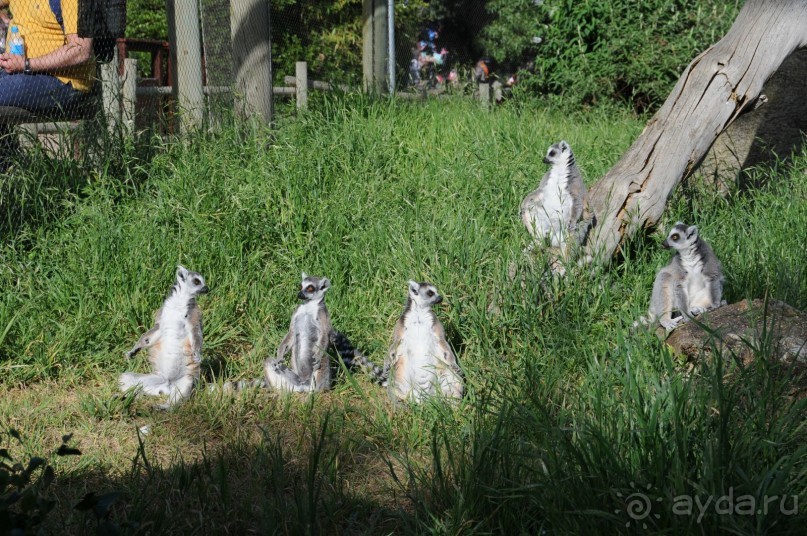 Мадрид в деталях для детей 5-6 лет и не только.