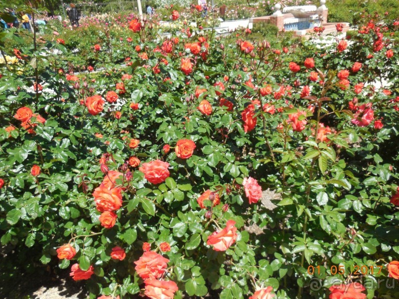 Мадрид в деталях для детей 5-6 лет и не только. Мадрид в деталях для детей 5-6 лет и не только.