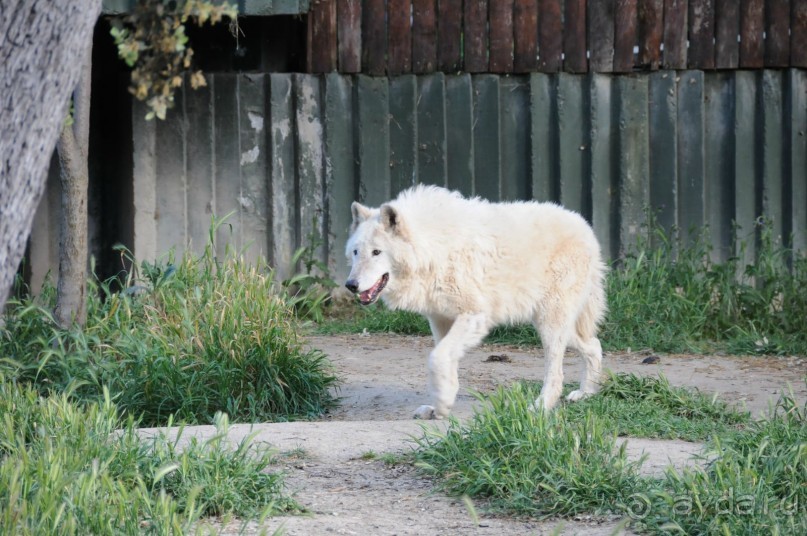 Мадрид в деталях для детей 5-6 лет и не только. Мадрид в деталях для детей 5-6 лет и не только.