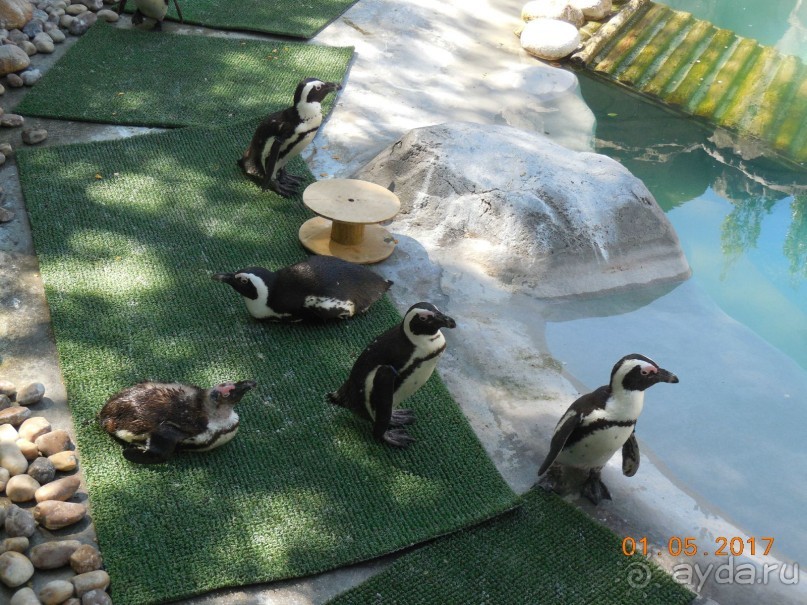 Мадрид в деталях для детей 5-6 лет и не только.