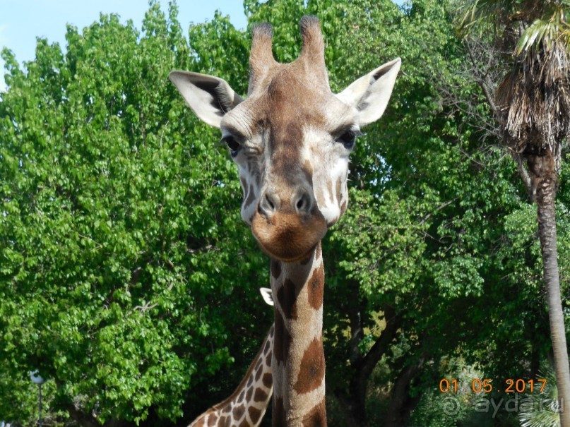 Мадрид в деталях для детей 5-6 лет и не только.