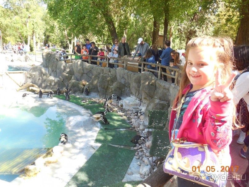 Мадрид в деталях для детей 5-6 лет и не только.