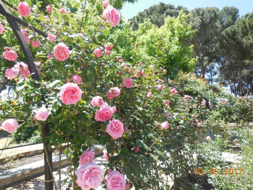 Мадрид в деталях для детей 5-6 лет и не только. Мадрид в деталях для детей 5-6 лет и не только.