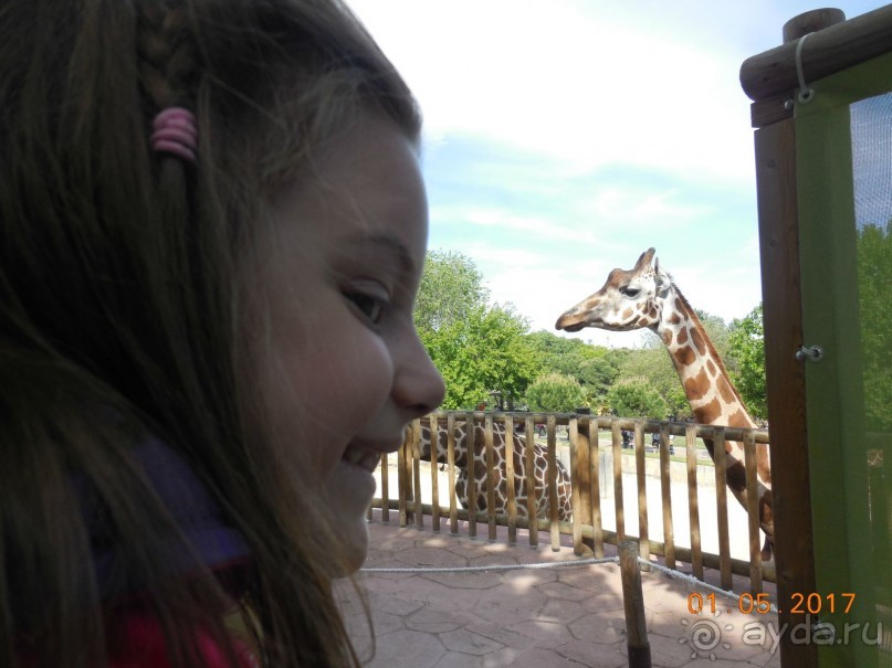 Мадрид в деталях для детей 5-6 лет и не только. Мадрид в деталях для детей 5-6 лет и не только.