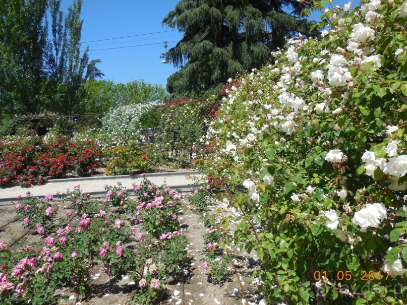 Мадрид в деталях для детей 5-6 лет и не только.