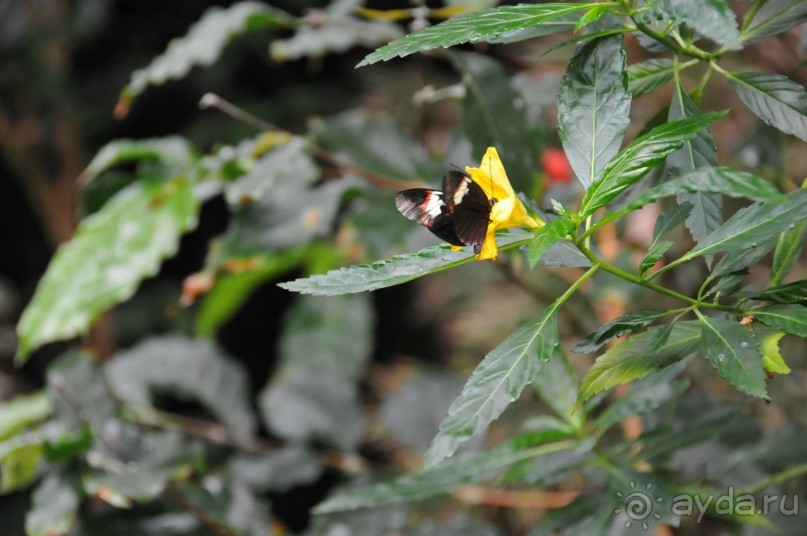 Мадрид в деталях для детей 5-6 лет и не только. Мадрид в деталях для детей 5-6 лет и не только.