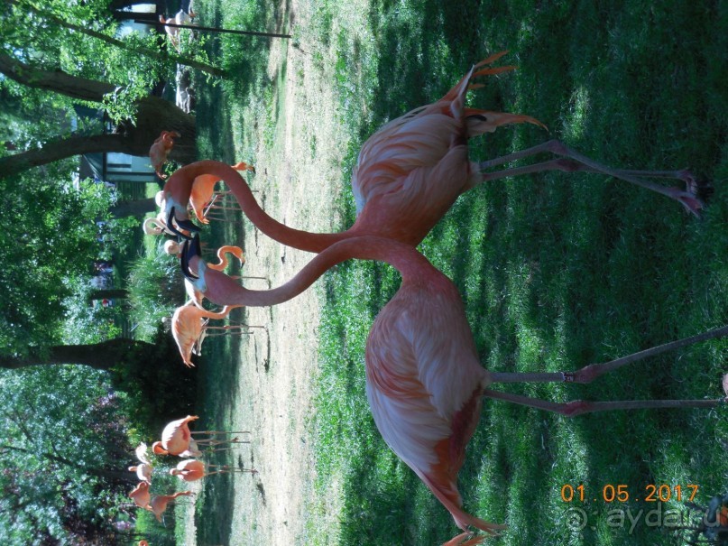 Мадрид в деталях для детей 5-6 лет и не только. Мадрид в деталях для детей 5-6 лет и не только.