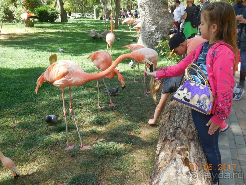 Мадрид в деталях для детей 5-6 лет и не только. Мадрид в деталях для детей 5-6 лет и не только.