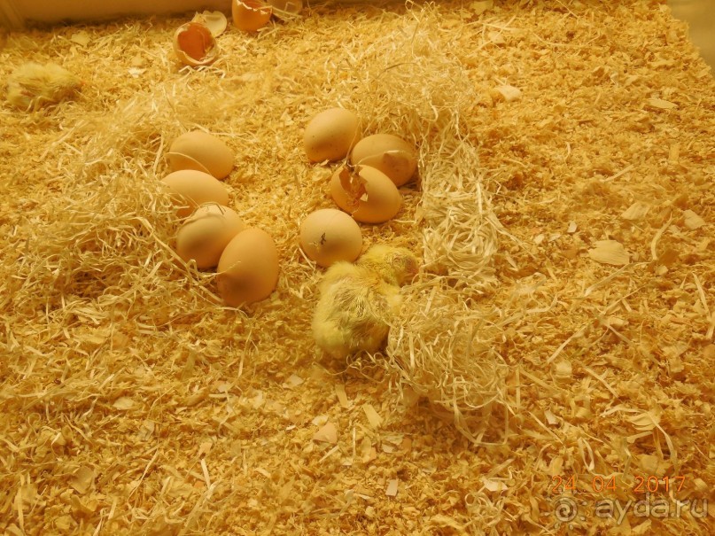 Мадрид в деталях для детей 5-6 лет и не только.