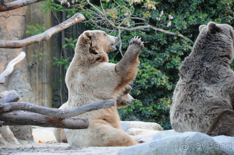 Мадрид в деталях для детей 5-6 лет и не только.