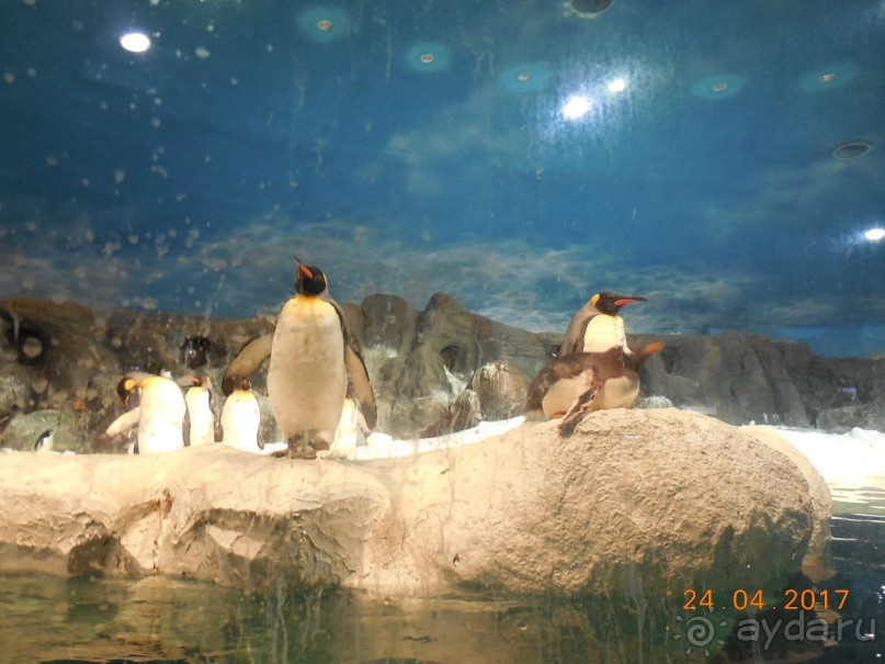 Мадрид в деталях для детей 5-6 лет и не только.