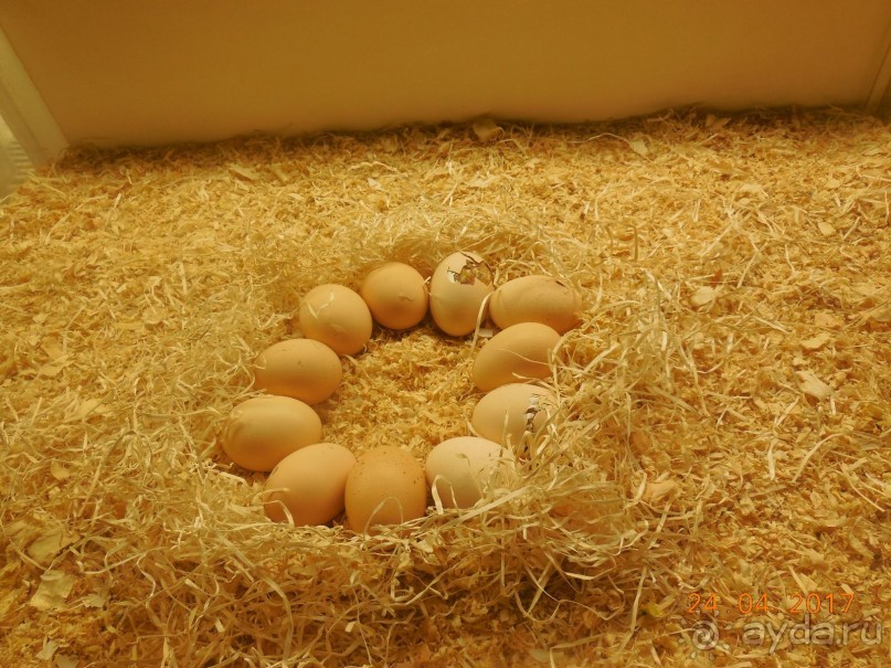 Мадрид в деталях для детей 5-6 лет и не только. Мадрид в деталях для детей 5-6 лет и не только.