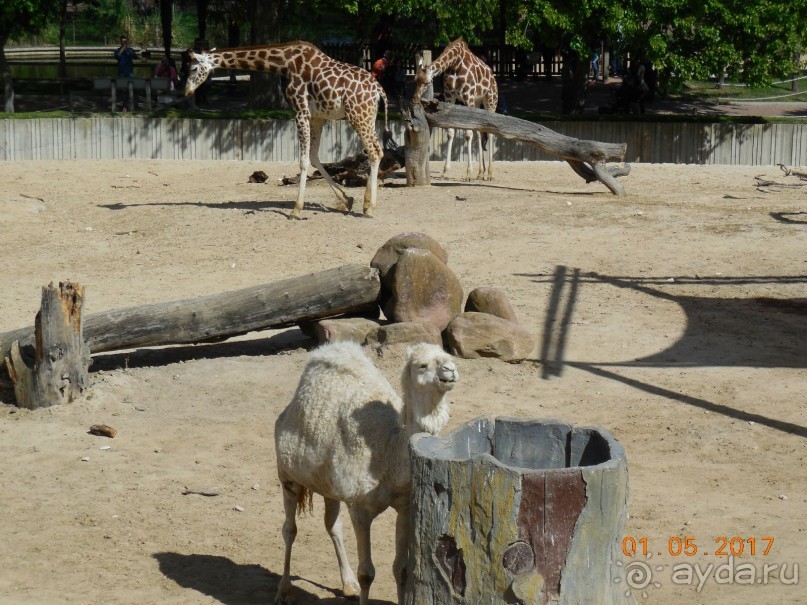 Мадрид в деталях для детей 5-6 лет и не только. Мадрид в деталях для детей 5-6 лет и не только.