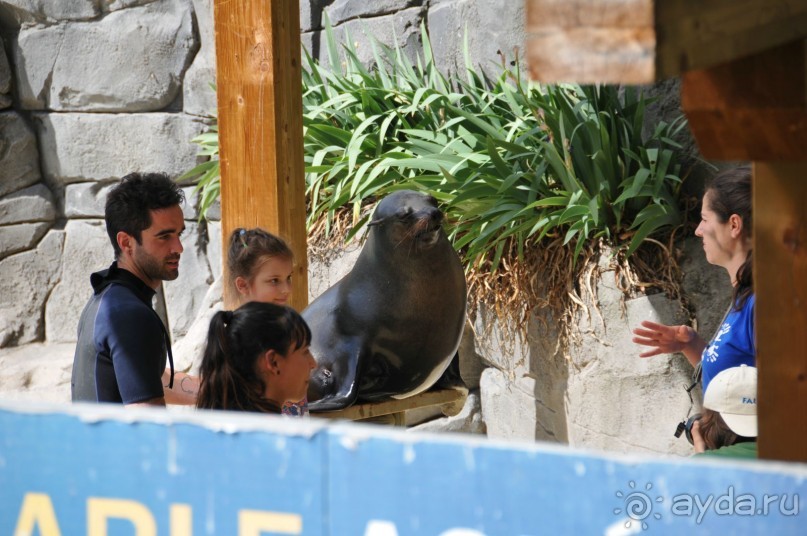 Мадрид в деталях для детей 5-6 лет и не только. Мадрид в деталях для детей 5-6 лет и не только.