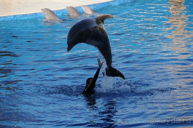Мадрид в деталях для детей 5-6 лет и не только. Мадрид в деталях для детей 5-6 лет и не только.