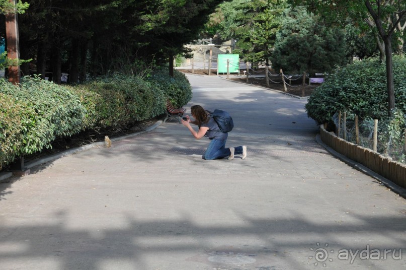 Мадрид в деталях для детей 5-6 лет и не только. Мадрид в деталях для детей 5-6 лет и не только.