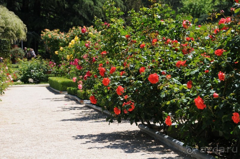 Мадрид в деталях для детей 5-6 лет и не только. Мадрид в деталях для детей 5-6 лет и не только.