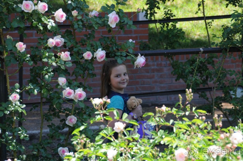 Мадрид в деталях для детей 5-6 лет и не только.