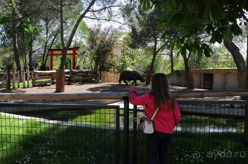 Мадрид в деталях для детей 5-6 лет и не только.